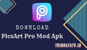 PicsArt Pro Mod Apk Download Versi Terbaru 2022 (Unlock All Fitur)