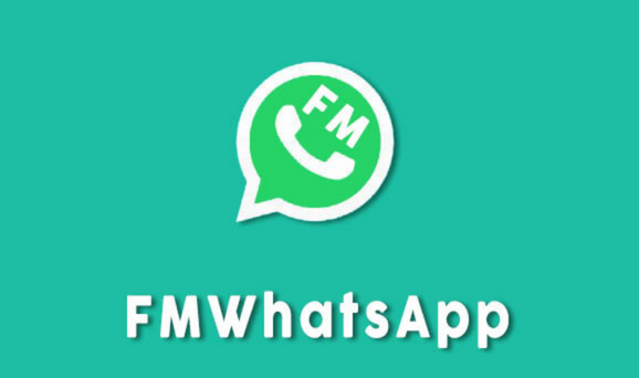 Review & Fungsi FMWhatsapp Aplikasi