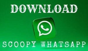 Scoopy WhatsApp Aplikasi Sadap WhatsApp Paling Mudah dan Praktis