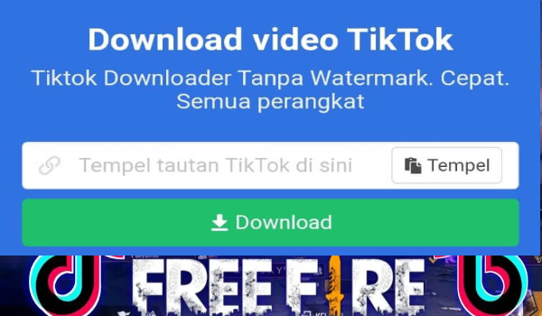 Cara Download Video TikTok FF Tanpa Watermark di Snaptik