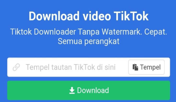download video tiktok tanpa watermark