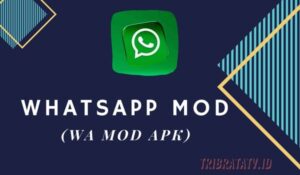 WA Mod Apk Download WhatsApp Mod Official Versi Terbaru 2022