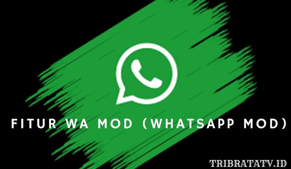 Fitur Unggulan WA Mod Apk (WhatsApp Mod)