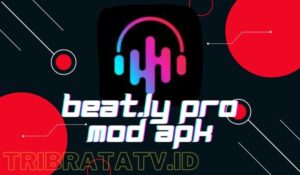 Beat.ly Pro Mod Apk (Unlocked VIP) Terbaru 2022 Tanpa Watermark