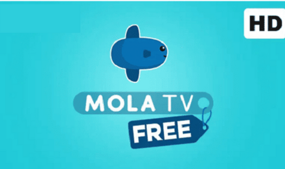 Pilihan Fitur Premium Dalam Mola TV