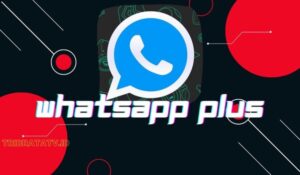 WhatsApp Plus Apk Download Official (WA Plus) Terbaru 2022