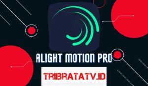 Alight Motion Pro (AM MOD) Apk Terbaru 2023 Tanpa Watermark