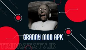 Granny Mod Apk God Mode Versi Terbaru Download For Android
