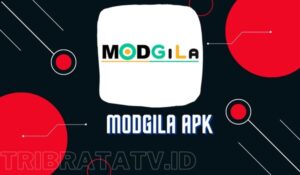 MODGila Download App & Game Mod Terbaru For Android Gratis