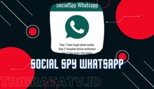 Social Spy WhatsApp Apk Terbaru 2023 Sadap WA Terbukti Berhasil