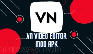 VN Mod Apk Full Unlocked Premium Terbaru 2023 Tanpa Watermark