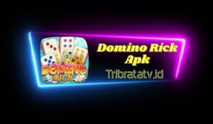 Domino Rich Apk Game Penghasil Uang Terbukti Membayar Langsung 2023