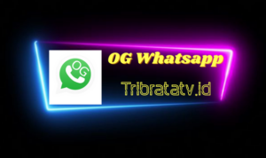 OG Whatsapp