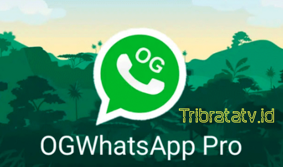 Perbedaan OG Whatsapp dan WA Resmi Yang Harus Diketahui