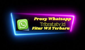 Proxy Whatsapp