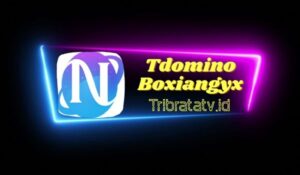 Tdomino Boxiangyx Apk Login & Daftar Menjadi Alat Mitra Higgs Domino