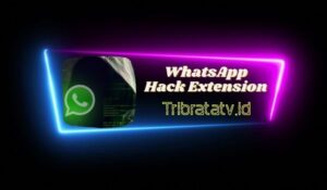 WhatsApp Hack Extension Sadap WA Tanpa Aplikasi Paling Mudah!