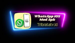WhatsApp iOS (WA iOS Mod Apk) Versi Terbaru 2023 Anti Banned