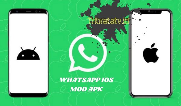 Review WhatsApp Mod iOS Apk