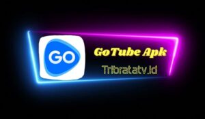 GoTube Apk Mod Download Versi Terbaru 2023 Tanpa Iklan