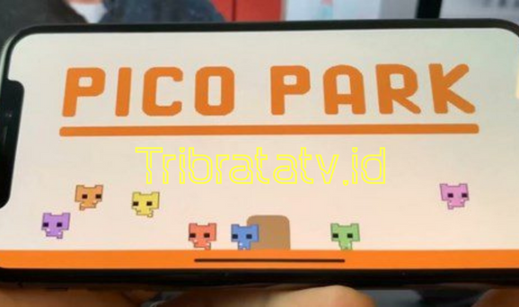 Informasi Seputar Pico Park dan Gameplay Permainannya