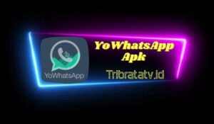 YoWhatsApp (YoWA) Apk Download Versi Lama & Terbaru 2023